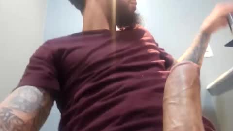 elephant_titus online show from April 20, 2026, 3:53 am