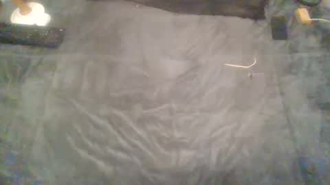 elgsslt online show from February 9, 2025, 2:07 pm