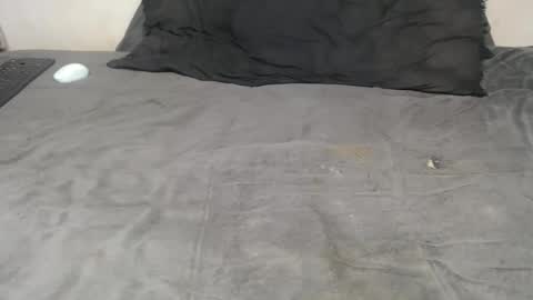 elgsslt online show from November 18, 2025, 3:38 pm