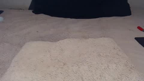 elgsslt online show from November 23, 2025, 12:16 pm