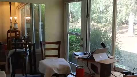 eliberator online show from December 21, 2025, 4:58 pm