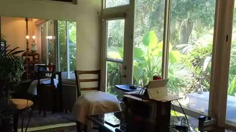 Snapshot of eliberator chatting on June 28, 2026, 6:36 pm eliberator online show from June 28, 2026, 6:36 pm