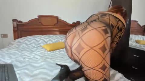 elifgirasol online show from February 15, 2026, 11:52 am