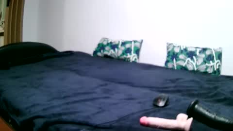 ella1982sexyh online show from October 12, 2025, 12:31 am