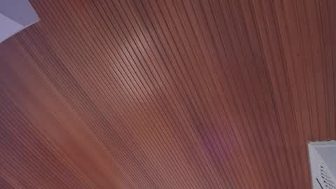 Elodie  online show from February 14, 2026, 11:40 am