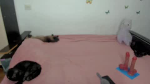 Snapshot of elsamails chatting on May 1, 2026, 6:23 pm Elsa online show from May 1, 2026, 6:23 pm