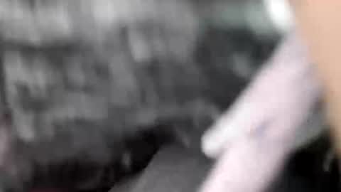 elvergg1 online show from February 1, 2026, 7:18 am