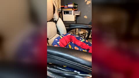 elvergg1 online show from April 4, 2026, 1:37 am