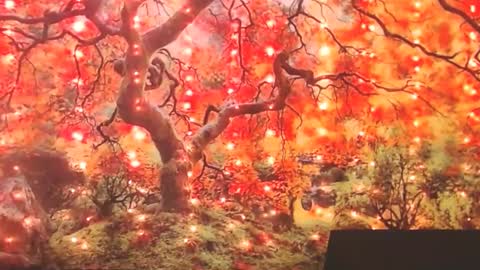 Ember Starleena online show from September 30, 2025, 1:49 pm