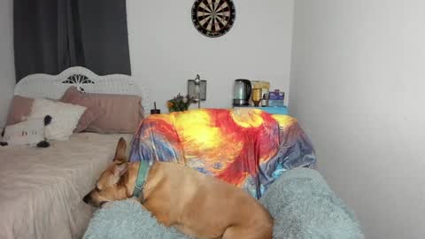 Ember Pheonixxx online show from January 17, 2025, 3:12 am