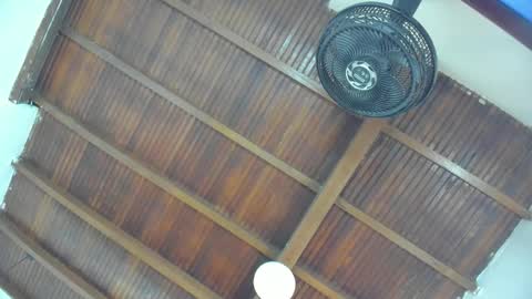 Emily  online show from January 16, 2026, 11:03 am