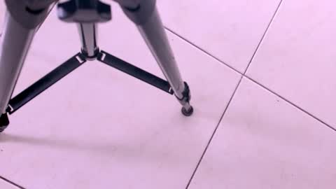 emily_castillo1_ online show from November 18, 2025, 3:23 am