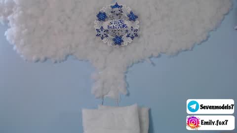 Snapshot of emily_fox7 chatting on December 28, 2024, 12:03 pm emily_fox7 online show from December 28, 2024, 12:03 pm