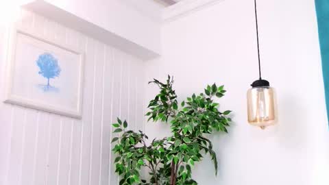 Emily online show from March 3, 2026, 8:04 pm