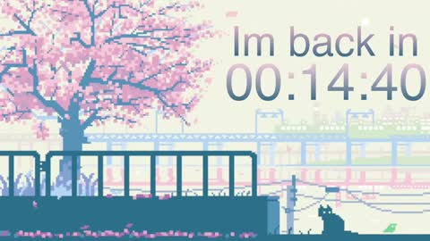 Erica online show from December 13, 2024, 10:19 am