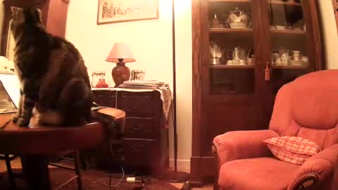 Snapshot of ericstephcam31 chatting on November 26, 2025, 10:05 am Steph et Eric online show from November 26, 2025, 10:05 am