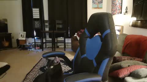 Snapshot of eroticsiren2 chatting on February 5, 2025, 9:18 pm EroticSiren2 online show from February 5, 2025, 9:18 pm