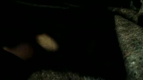 estelarseiya online show from January 4, 2025, 3:18 am