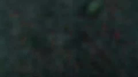 estelarseiya online show from February 5, 2025, 7:07 am