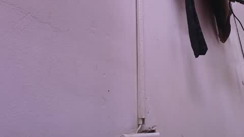 Estrella online show from February 22, 2025, 11:57 am