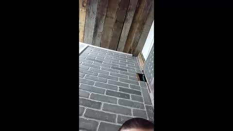 ethanfish600 online show from March 3, 2026, 7:25 am