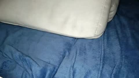 Snapshot of eva_foxe chatting on February 25, 2026, 5:44 pm Eva online show from February 25, 2026, 5:44 pm