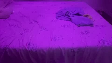 evandroribeiro online show from April 8, 2026, 12:05 pm