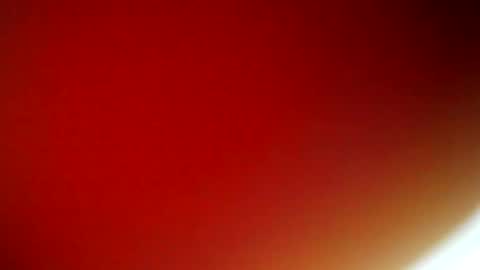 Snapshot of evangely15 chatting on February 9, 2025, 11:36 am evangely online show from February 9, 2025, 11:36 am