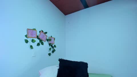 Snapshot of evelinmiller9 chatting on September 9, 2025, 2:05 pm Evelin Miller online show from September 9, 2025, 2:05 pm