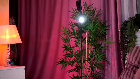 Evelyn online show from February 5, 2025, 7:31 pm