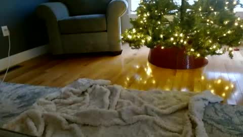 Everleighmae online show from December 9, 2024, 1:24 pm