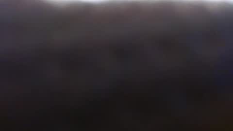 Exoticlexxii online show from October 5, 2025, 7:45 pm