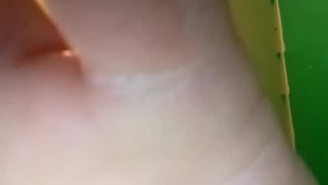 experttreecompany online show from April 10, 2026, 4:55 pm