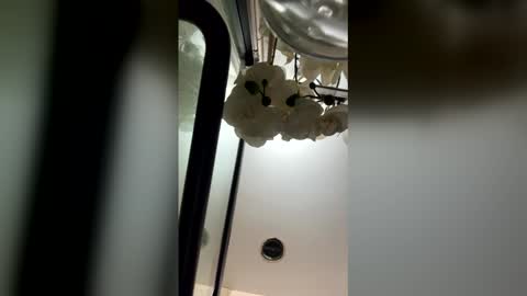 fabiolacal11 online show from February 28, 2026, 5:52 am