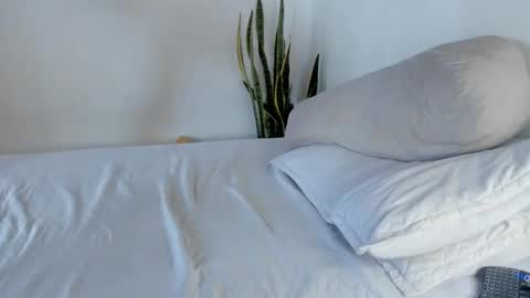 -  A N D E R online show from October 22, 2025, 2:17 pm