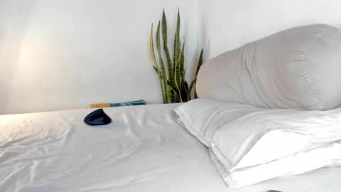 -  A N D E R online show from October 24, 2025, 2:24 pm