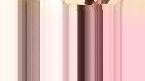 facesd online show from April 20, 2026, 4:37 am