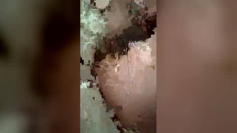 fairdog123 online show from April 21, 2026, 4:08 am