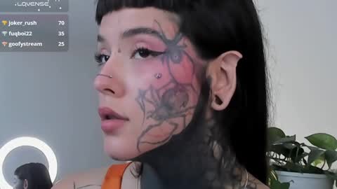 Snapshot of fairyflexxx chatting on March 10, 2025, 12:48 pm Fairy online show from March 10, 2025, 12:48 pm