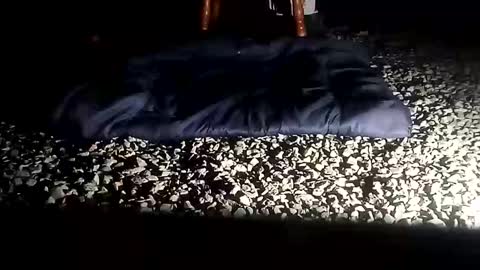 Snapshot of fallguyb1875150 chatting on October 6, 2025, 10:12 am fallguyb1875150 online show from October 6, 2025, 10:12 am