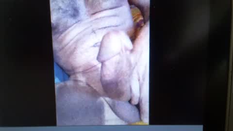 falushp online show from January 23, 2025, 9:50 am