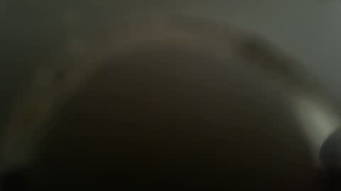 falushp online show from February 26, 2025, 11:52 am