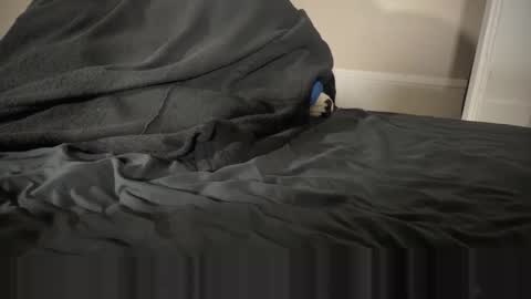 Fango online show from January 12, 2026, 2:39 am