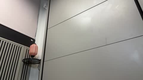 Gattino online show from December 13, 2024, 12:06 pm