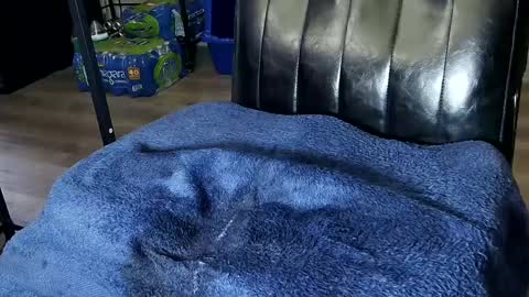 Sarah online show from February 1, 2025, 12:51 am