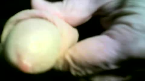 Snapshot of felicaste chatting on April 17, 2026, 9:18 pm felicaste online show from April 17, 2026, 9:18 pm