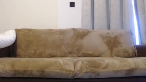 FelineChic online show from January 10, 2025, 4:44 am