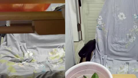 felixlau online show from February 18, 2025, 11:55 am