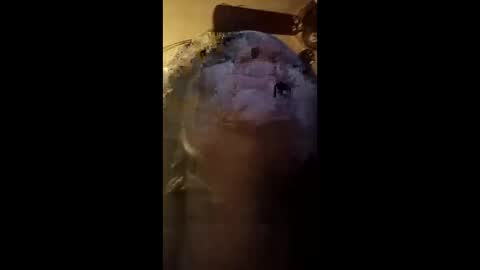 fellatio13 online show from May 6, 2026, 5:57 am