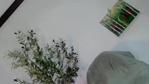 Snapshot of femboy_veronica chatting on May 3, 2026, 6:19 am femboy_veronica online show from May 3, 2026, 6:19 am